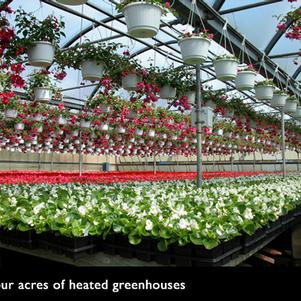 Ordering Information Ordering Information